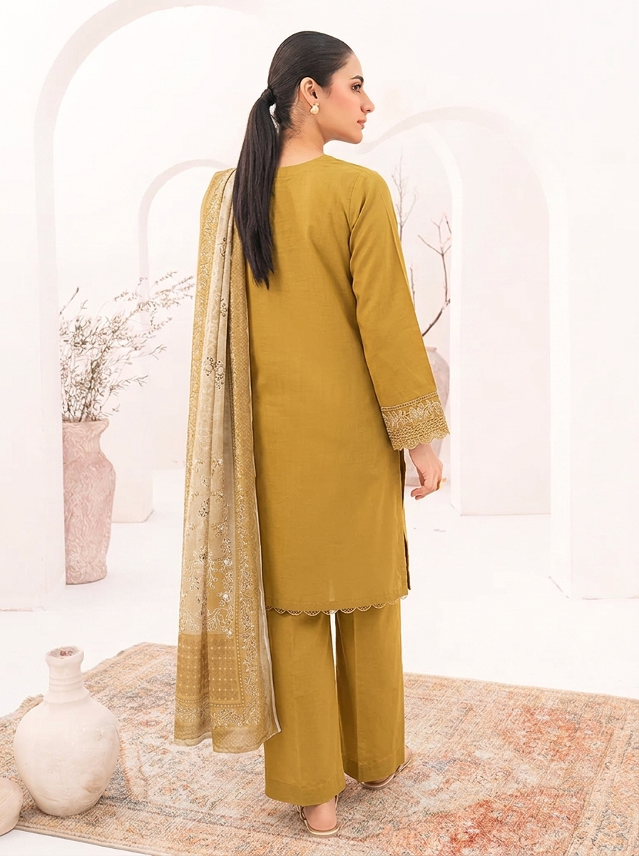 3 Piece Embroidered Suite